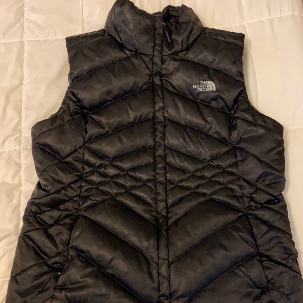 The northface vest